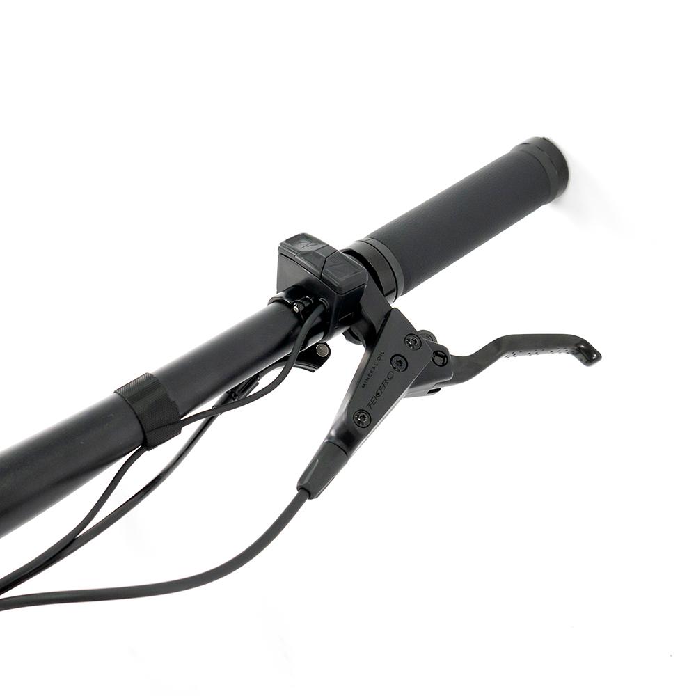 EM19 High-Performance Carbon Fiber Electric Mountain Bike | 48V250W Mid-Drive Motor, 75Nm Torque, 130-150KM Range, 12-Speed, Hydraulic Disc Brakes