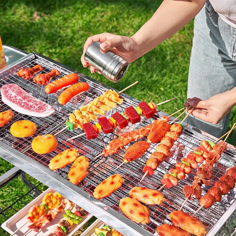 Portable Stainless Steel BBQ Grill