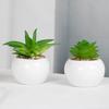 Planta Artificial de PVC Natural vívido, mantenimiento fresco realista, Mini decoración de mesa, bonsái de suculentas artificiales para escritorio