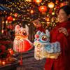 Ancient Style Chinese New Year Lantern Paper Luminous Lantern Handheld Lantern  Wedding Decor