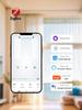 Zigbee Smart Touch Curtain Switch with Alexa Voice Control and Tuya Integration