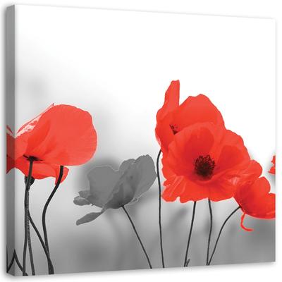 Canvas Print, Red Poppies Flowers Plants