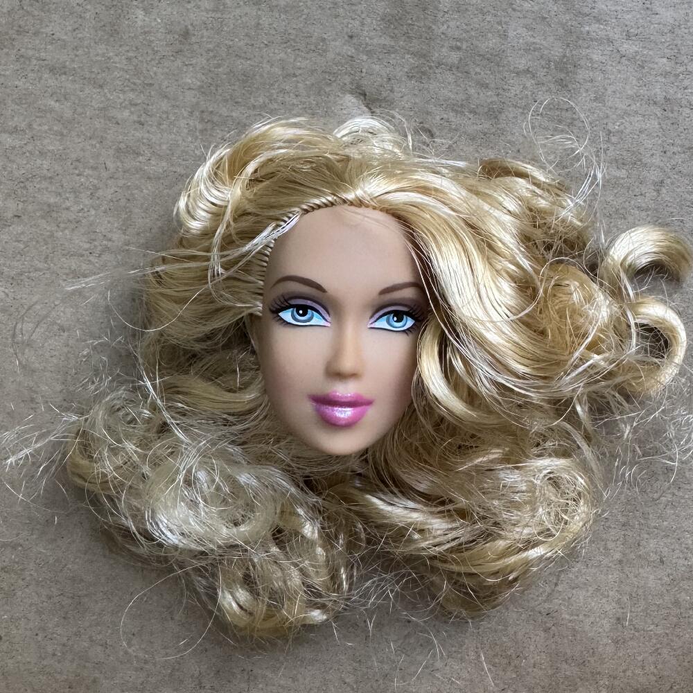 1/6 Doll Heads Rare Face White Beige Brown Skin Tone