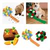 Creative Dog Carrot Plush Toy 2x Interactive Puzzle Balls Vegetable Fruit Molars