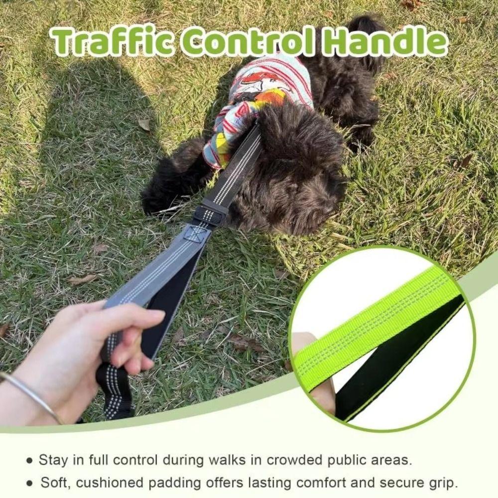 Guinzaglio Doppio Ammortizzante per Cani Corda per Passeggio Animali Senza Intrecci Guinzaglio per Due Cani Passeggiata con Due Cani