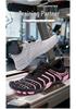 Quick-Dry Five-Finger Water Shoes for Men & Women – Perfect for Swimming, Beach, Trekking, Yoga, Fitness, and Hiking