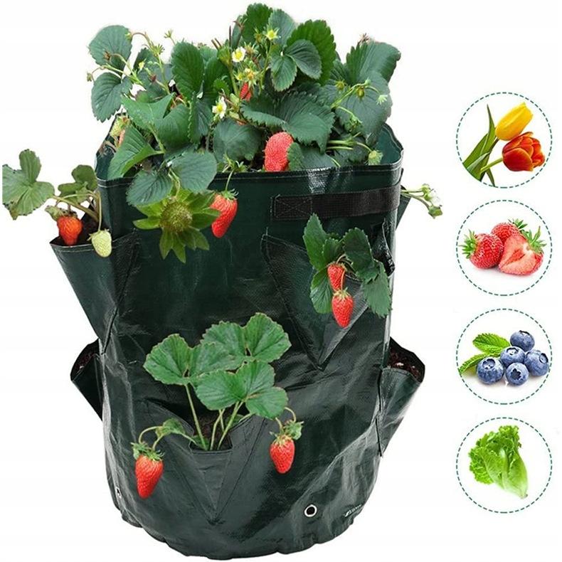 Flowerpot Cascade Bag Bag Vegetables Hanging Strawberries Strawberries Pockets