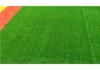 Artificial Grass Turf Wall Decoration for Fruit Store and Sunroom