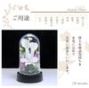 Art Four Seasons Mini Color Mini Dome White Preserved Flowers