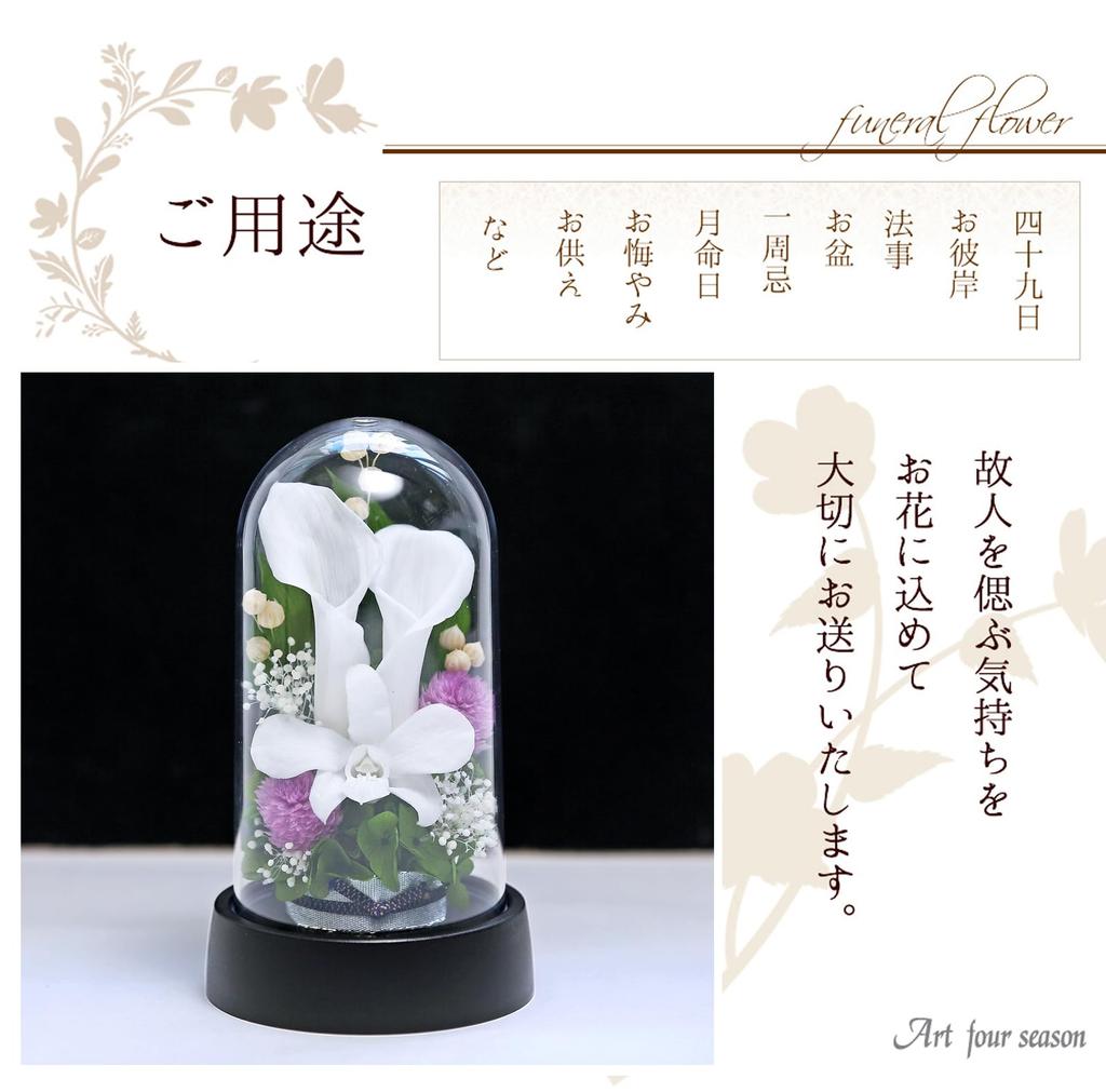 Art Four Seasons Mini Color Mini Dome White Preserved Flowers