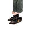 French Thick Heel Velcro Shallow Mouth Single Shoes Women's 2025 Autumn New Pointed Foreign Style Versatile Mary Jane Small Leather Shoes