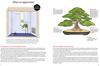 Introduction To Bonsai: The Complete Illustrated Guide for Beginners (with Monthly Growth Schedules and Over 2,000 Illustrations)