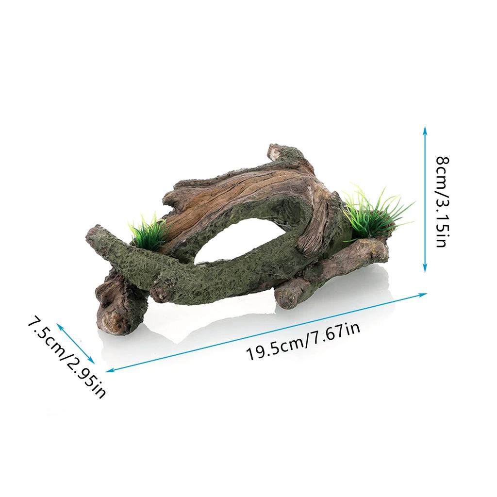 Aquarium Driftwood Tree Root Hideout for Fish & Shrimp, Natural Durable & Corrosion Resistant, Suitable for Freshwater & Saltwater Tanks