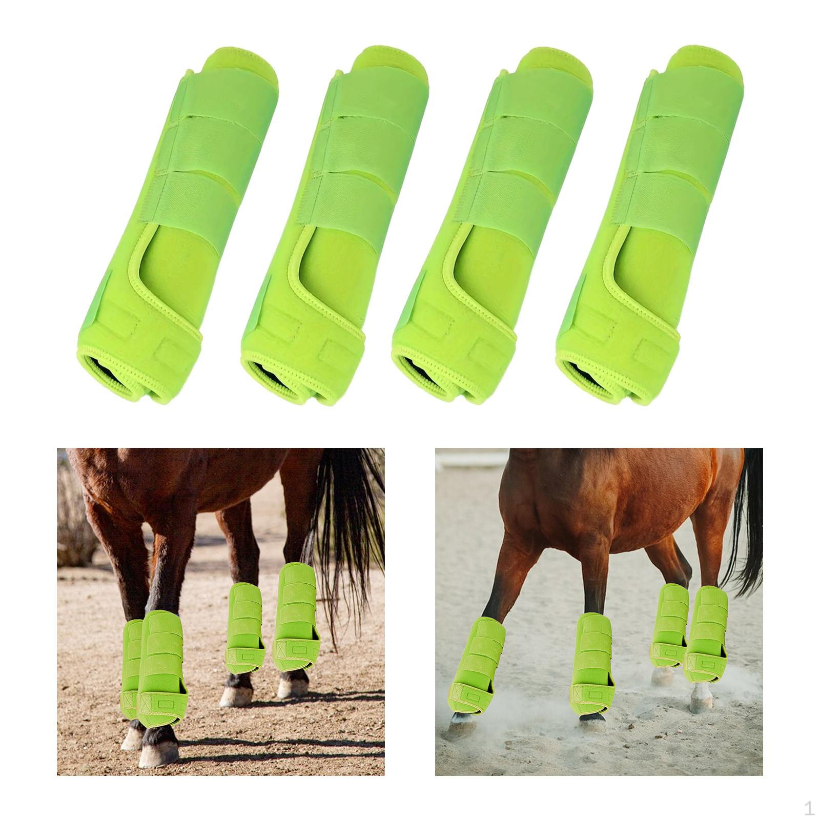 

Защитный комплект из 4 предметов для ног лошади, прочный, дышащий, удобный L светло-зеленый