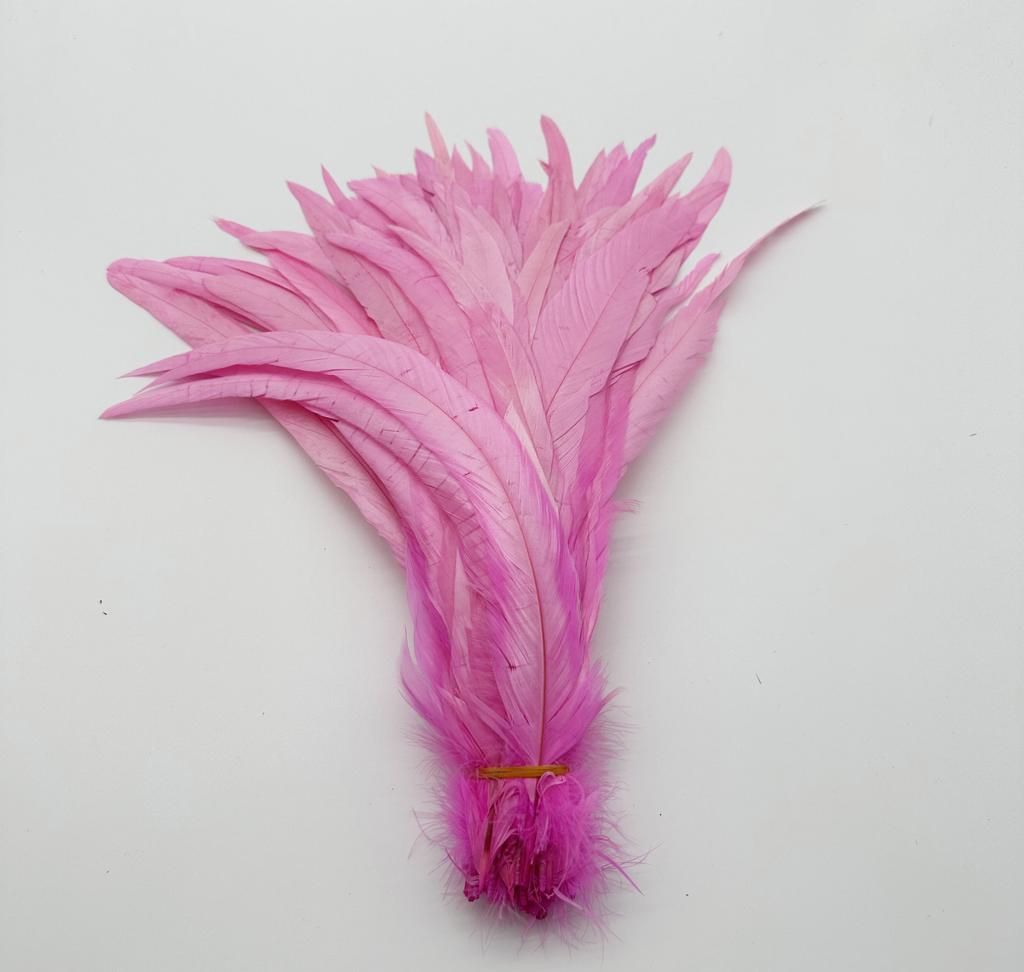 Rooster Tail Feather 500pcs  Red Cock Diy Clothing Accessories Jewelry Head Wear Hats Wedding Supplies Performance Necessary