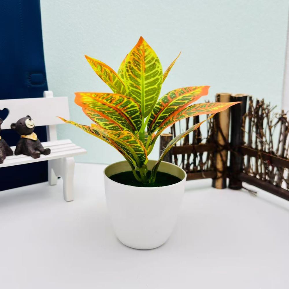 

Epipremnum Aureum Fittonia Albivenis Plant Pot For Home Decor Table Accents StyleE