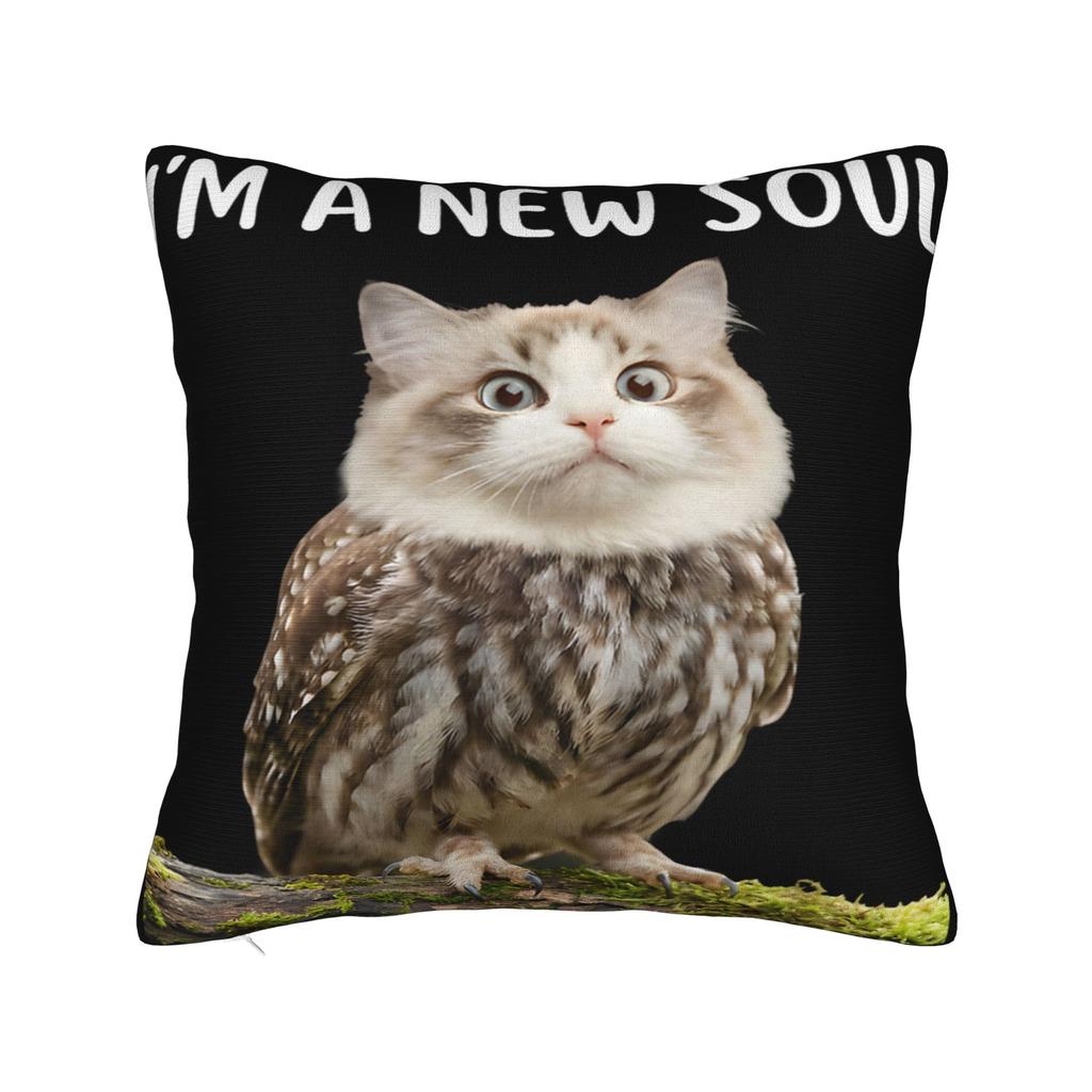 Gatto Gufo Divertente Maledetto Cervello Marcio da Internet Bootleg Meowl Federe Federa Divertente Per Divano Letto Salotto Copricuscino