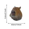 50PCS Capybara Stickers Funny Cute Brown Sticker Cartoon Animal Decal Vinyl Waterproof for Scrapbook Laptop Luggage Water Bottle