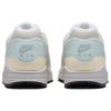 Nike Air Max 1 Premium Hangul Day Unisex Sneakers White Summit-White Sail DZ5317-121