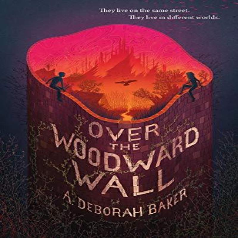 Over the Woodward Wall by A. Deborah Baker Hardback Book 9780765399274
