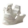 Game Controller Stand 3D Printed Skull Holder, Head for Display Rack Controller, Cool Desktop Gaming Room Decor, Gamer Gift Ornament Men