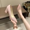 Fashion New Popular High-heeled Shoes Women Pointed Shallow Mouth Shoes Women's Thick-heeled Fashion Shoes Plus Size 43  Zapatos Mujer