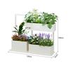 Iron Art Planter Divider Stand