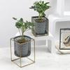 Nordic Light Luxury Gold Hollowed Flower Pot Fashion Creative Balcony Plant Stand Simple Atmosphere Indoor Decorative Shelf