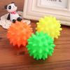Silicone Spiky Ball Sound-Making Pet Toy for Dogs