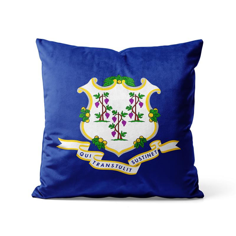 Gaslight Gatekeep Girlboss Connecticut Throw Pillow Covers Cushion Cases Pillowcases for Sofa 45cm x 45cm