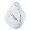 Digio2 Mini Ergonomic Wireless Mouse, Quiet, 5 Buttons, Blue LED, White