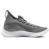 Under Armour Curry Flow 8 Shine 3024031-100