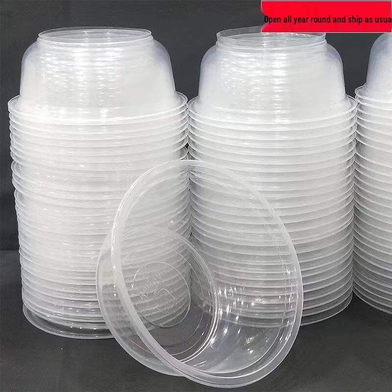 ZISIZ Disposable Transparent Plastic Bowl