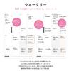 Y-Style Working Mother's Planner, 2025, Starting In January and Ending In March, B6 Size, Family, Weekly, To-Do Schedule (Ocean Navy)