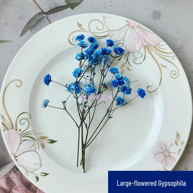 Blue Series Dried Flower DIY Kit: Hydrangea, Thousand-Layer Gold, Eucalyptus Leaf Souvenir Decoration
