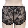 BARBARA Lace Triangle Panty 2color  Abp4455 