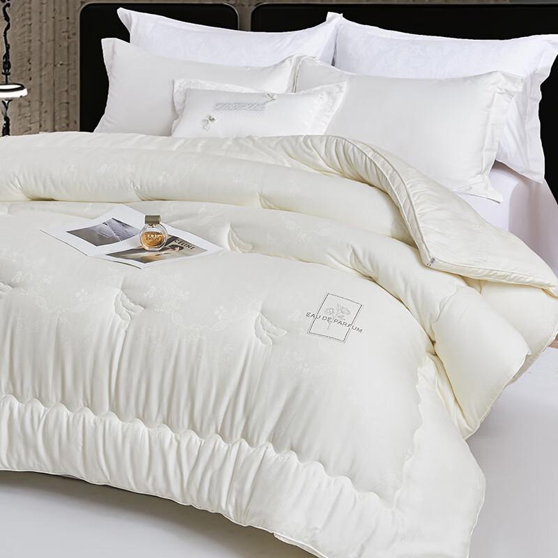 PAUI DAVID Thickened All-Season Polyester Quilt