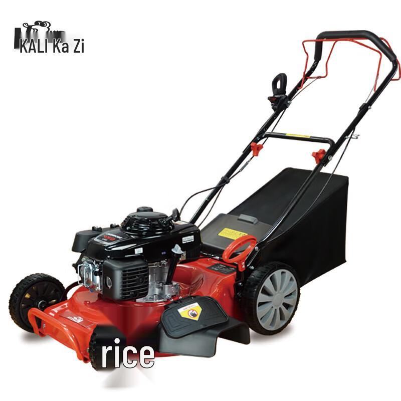 KaiZi Cordless Electric Garden Pruning Tools