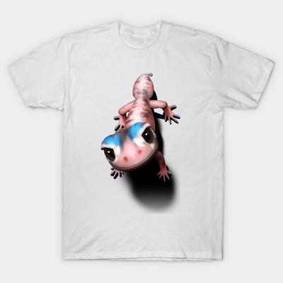 Üst Kıyafetler – T-shirtler