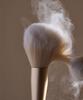 201 Fixing Powder Brush