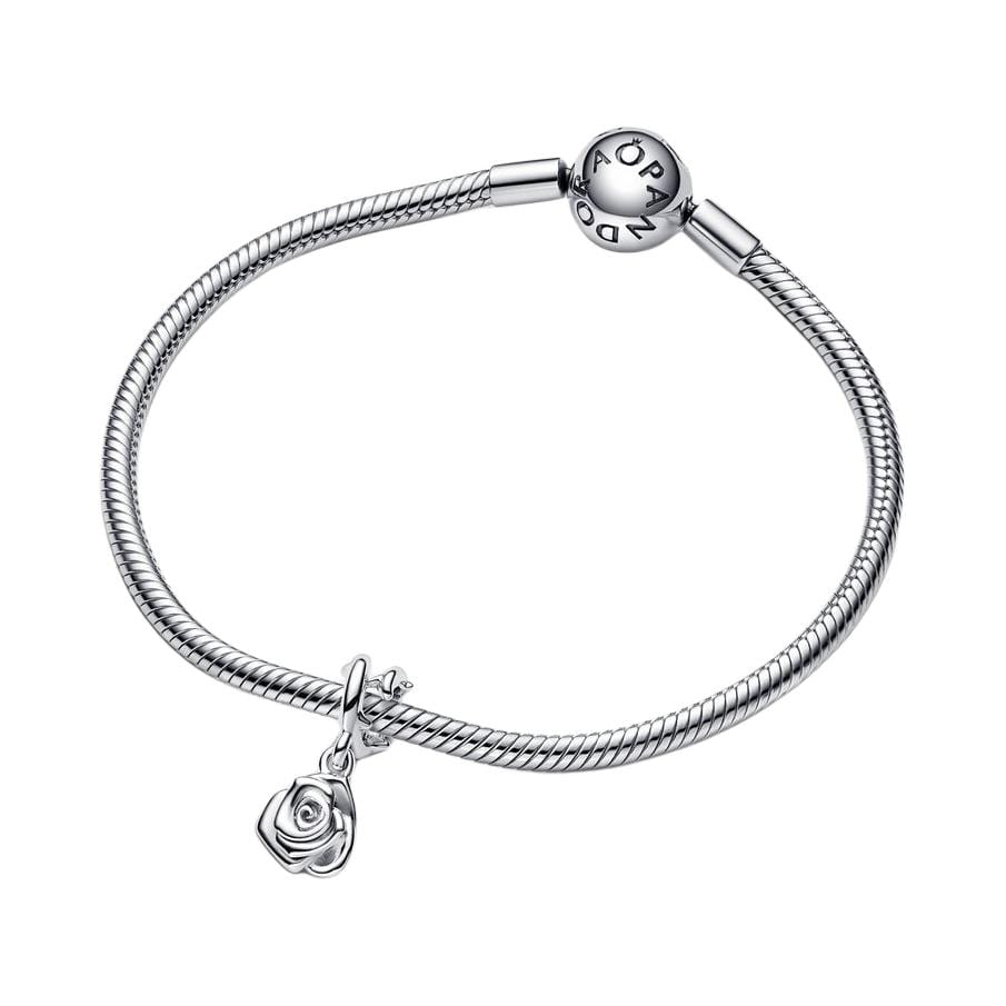 Pandora Rose Silver Charms & Pendants Women's Silver 793213C00