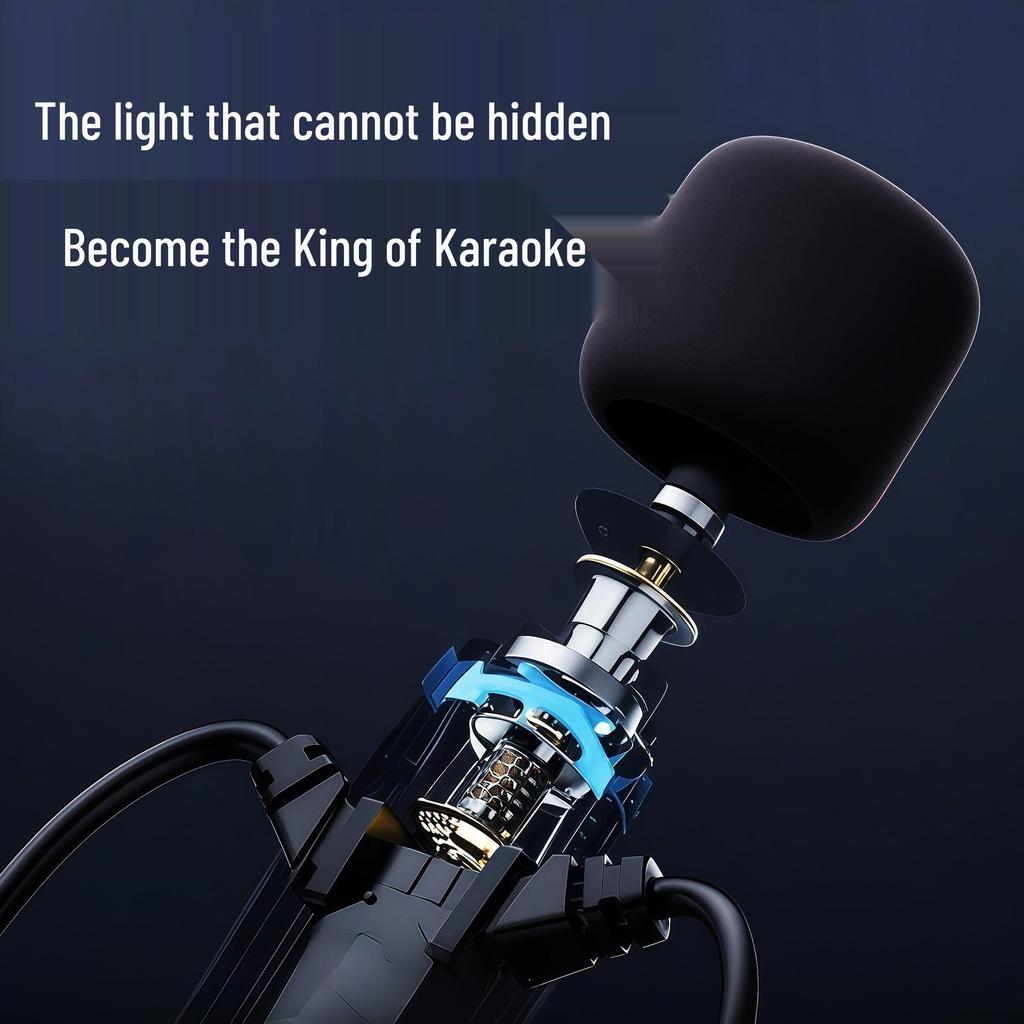 All-in-One Live Karaoke Sound Card with Wired Microphone & In-Ear Headphones