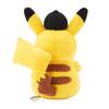 Pokemon Card Game Plush Type Card Stand Pikachu Japan NEW