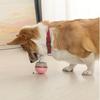 Dog Leakage Toy Teeth Cleaning Chew Dispenser Puppy Toy Food Leakage Play Funny Puzzle Interactive Dog Toys