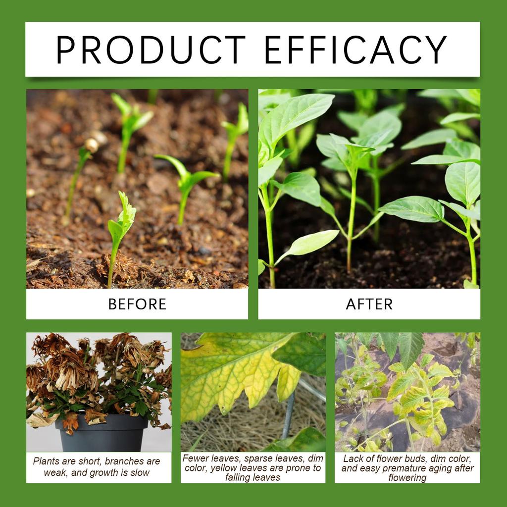 Wurzelstimulierende Pflanzennährlösung: Nährt Pflanzen, Ergänzt Nährstoffe und Fördert das Wurzelwachstum. 30 ml