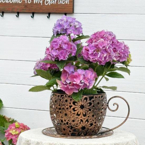 Vintage Teacup Planter Iron Floral Cutout Flowerpot Decorative Plant Pot for Succulents Herbs Flowers Indoor Outdoor Garden Decor