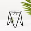 Decoration Plants Frame Iron Geometric Pattern Hydroponic Vase Glass Planter Terrarium Metal Holder