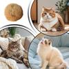 New Rabbit Fur Cat Ball Durable Soft Fluffy Cat Scratch Resistant Pet Sniffing for Indoor Cats Kicks Chase Games