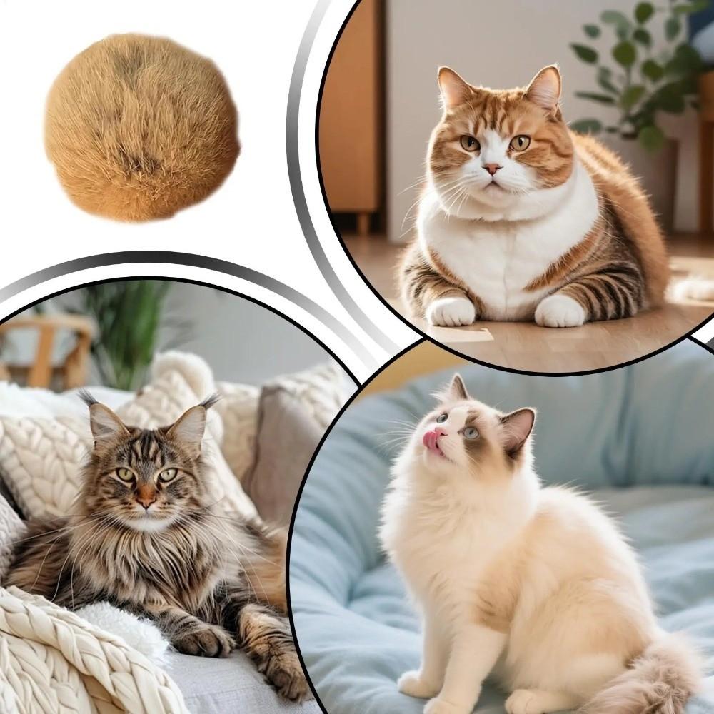 New Rabbit Fur Cat Ball Durable Soft Fluffy Cat Scratch Resistant Pet Sniffing for Indoor Cats Kicks Chase Games