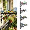 Aesthetic Wall Plant Metal Hanger Bracket with Hanging Plant Colorful Bird Pattern